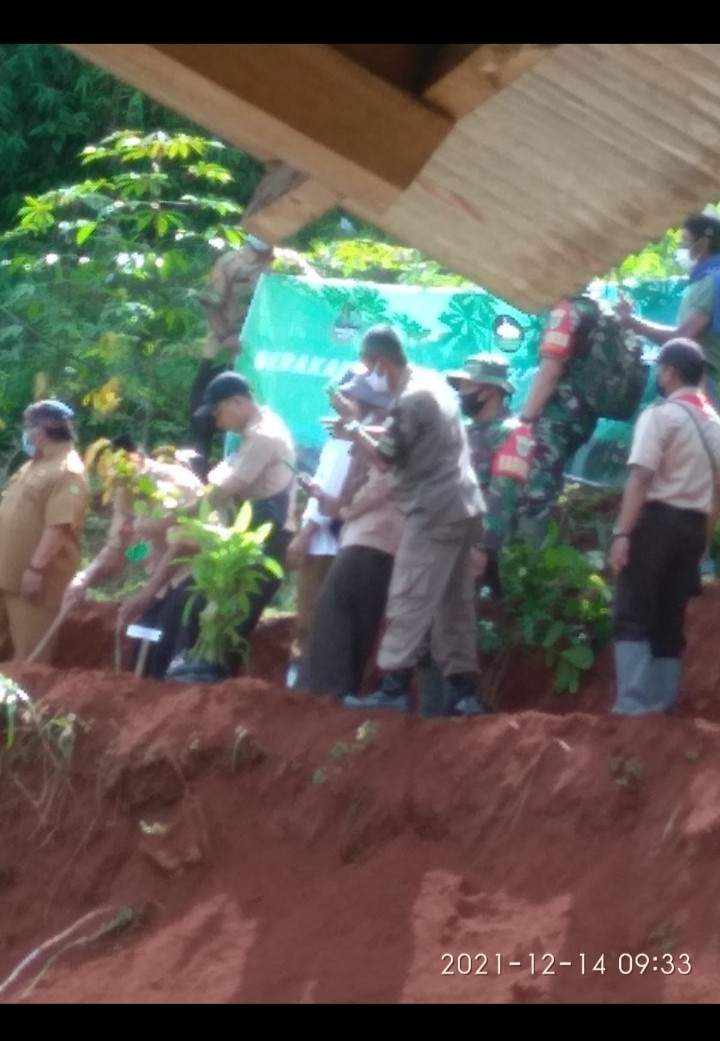 Giat gerakan penanaman 2000 pohon duri pohang